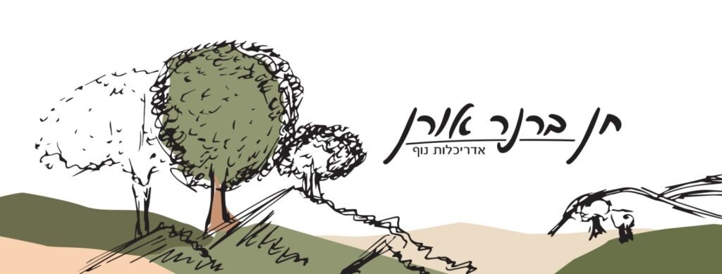 חן ברנר אורן, אדריכלית נוף ומעצבת גינות